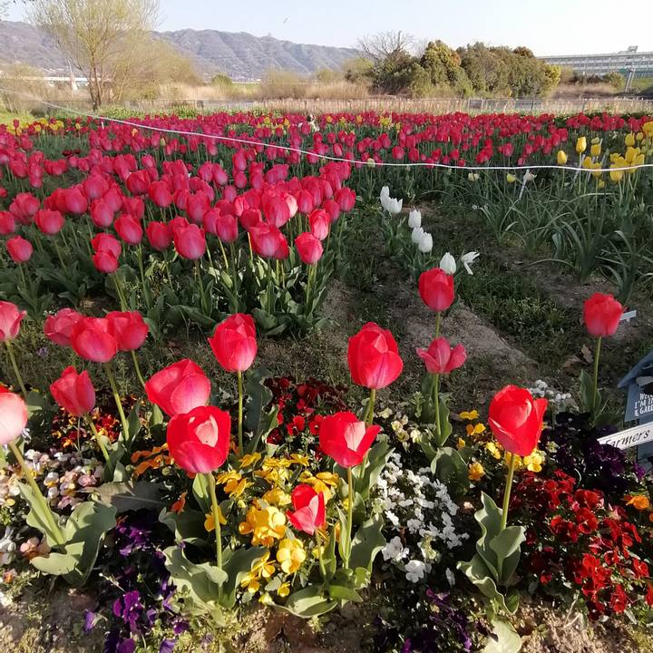 5e5c5df0 4fc0 437a 841c c25724154eea 1586171279540