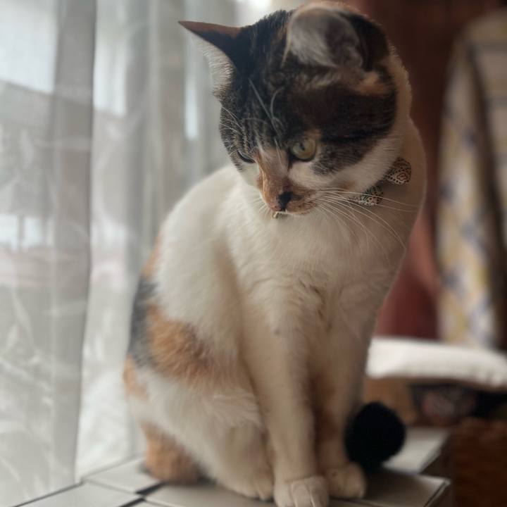 5e5c8e5b 0965 44e1 a602 03316317a05b 1768132149051