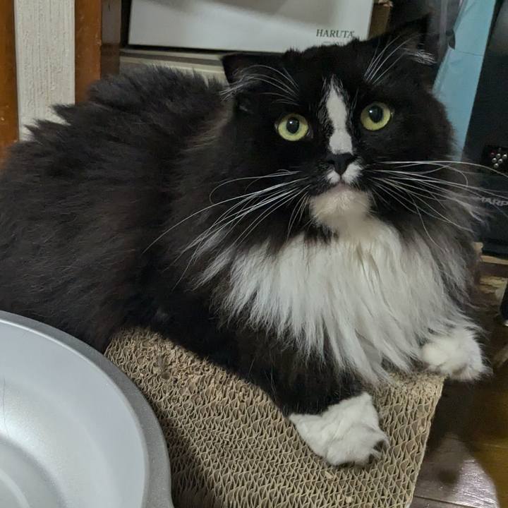 5e5c97ca 81dd 460d 9674 c467da1d6e9a 1721566611908