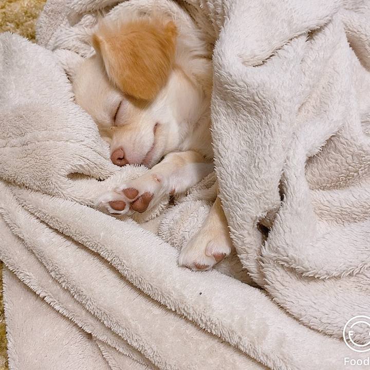 5e5cc340 5ce1 4ce6 85f3 2ee5740d5537 1598322510852