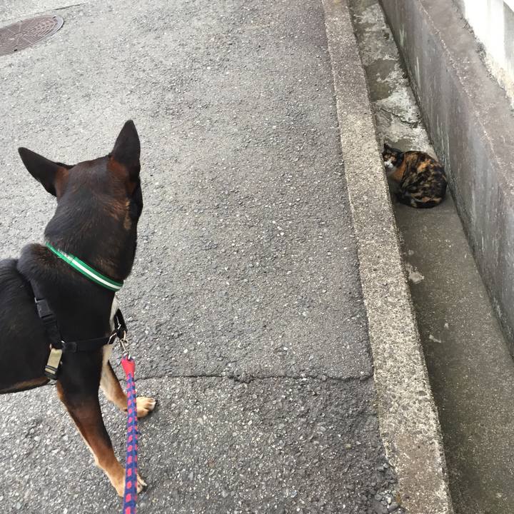 5e5d0f01 05ff 45e9 aa50 c56ef39a06b9 1514439576792