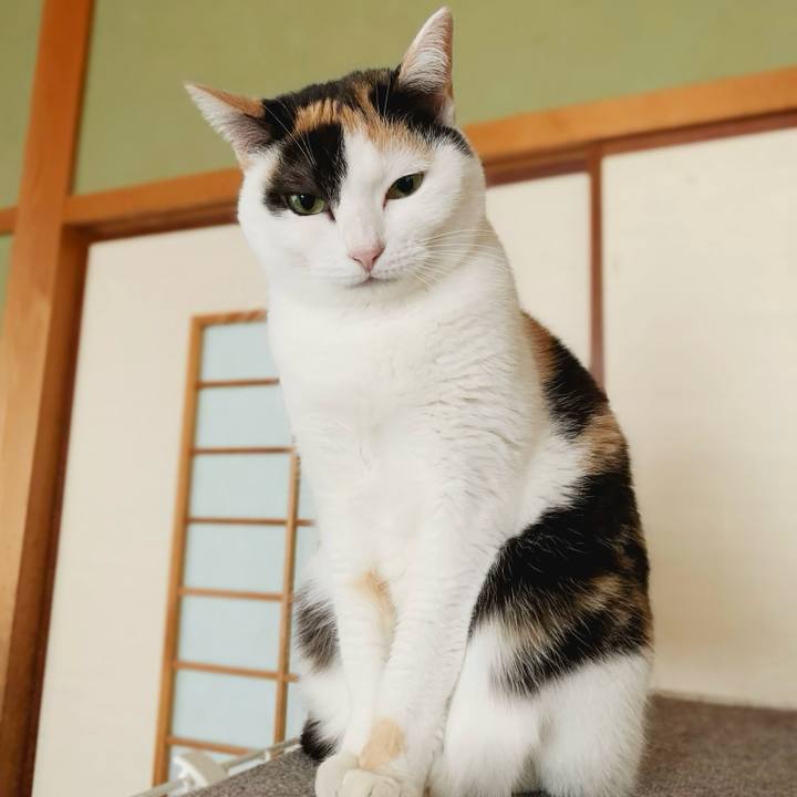 5e5d4aea d72d 42c4 9ee9 5171be9b10bf 1584671165090