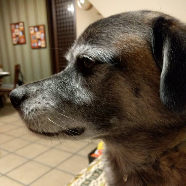 5e5d6822 51c3 4155 b9c4 54d3e09e5aa1 1512643406689