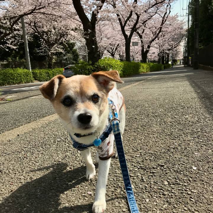 5e5d6ccd 781b 4d76 b13e dc3ff199b2fe 1648696209248