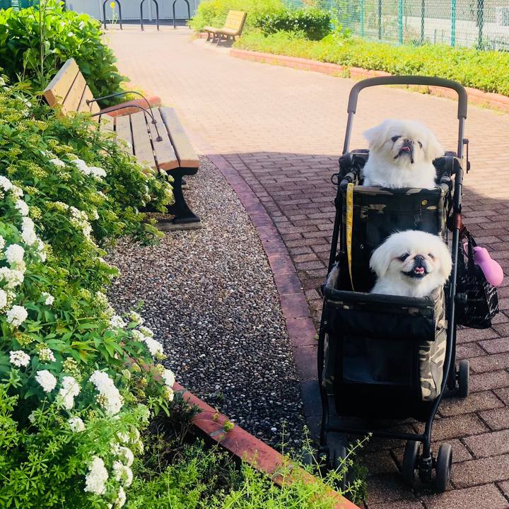 5e5d7208 33f4 49c7 bdc7 e8e714881607 1617784811645