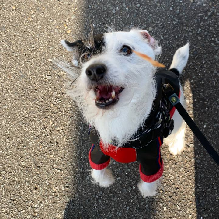 5e5d7554 84a9 4f4f abbf 45b2d2519994 1736903096338