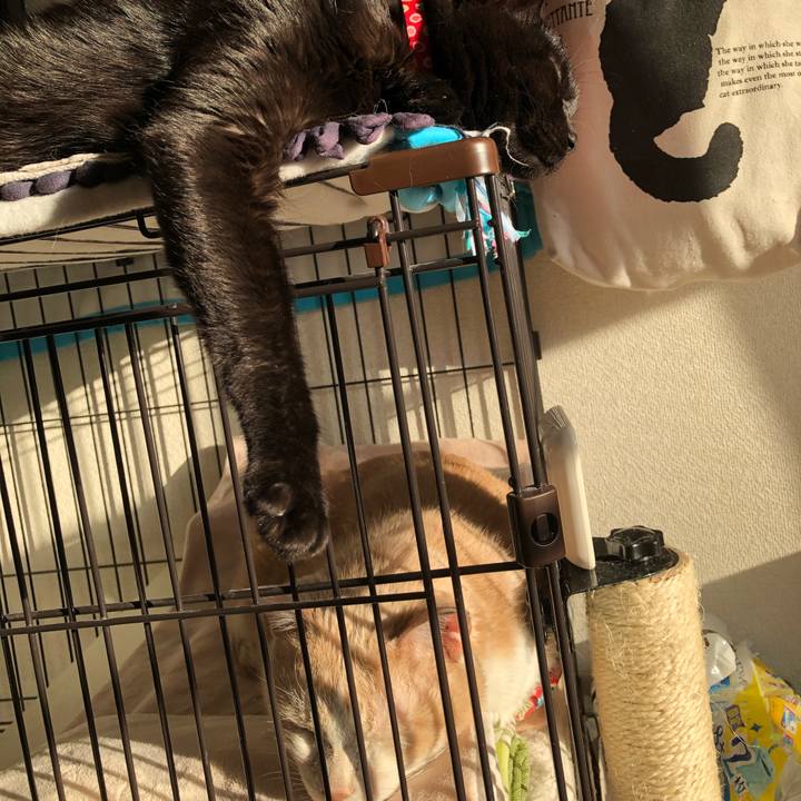 5e5d83d5 3a35 4d00 bd13 8025f0d9aef4 1613517752171