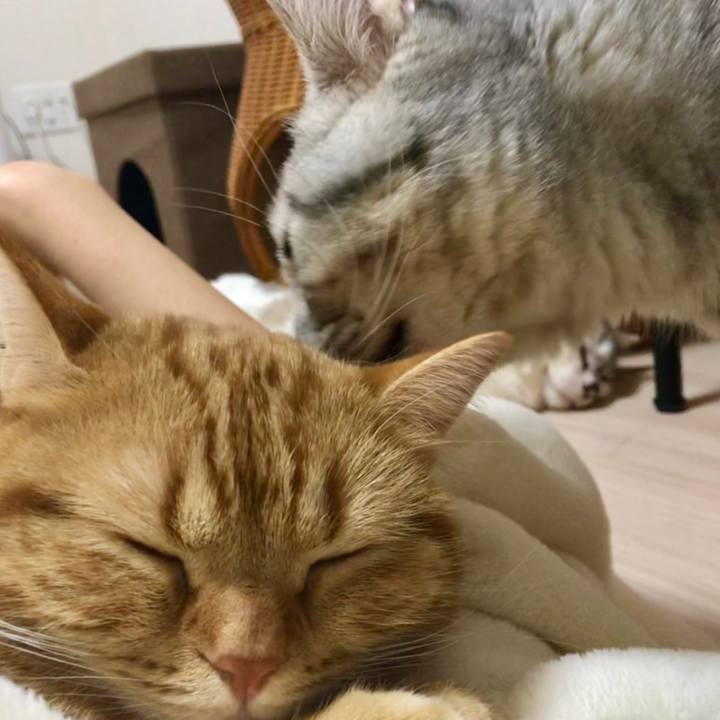 5e5da4f1 29e0 44f5 9a30 72fb4d3b292d 1517057030221