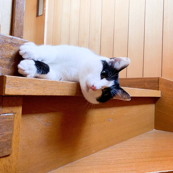 5e5df94e 8598 4555 ab69 7765951e6721 1546391578054