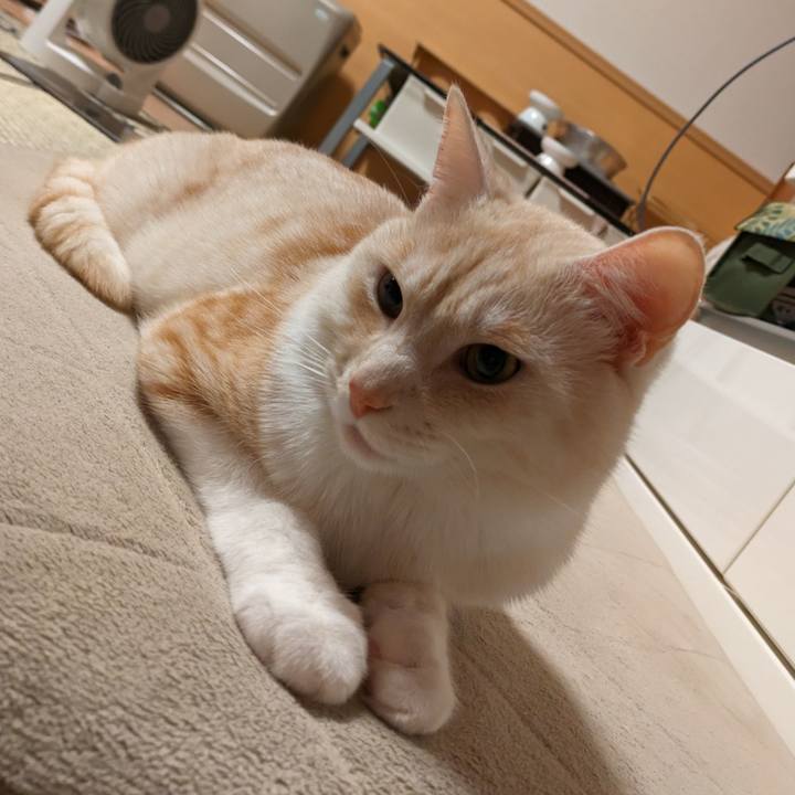 5e5e0324 a43b 4f35 8fbc 57d022d8525a 1687445272570