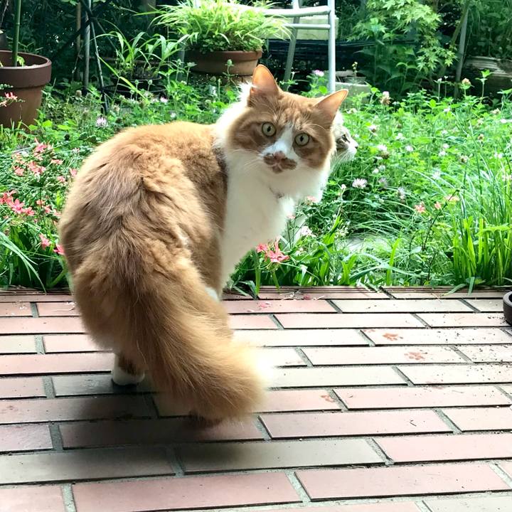 5e5e2c32 e8b2 4339 baed eb2a5647cbfa 1621755382509