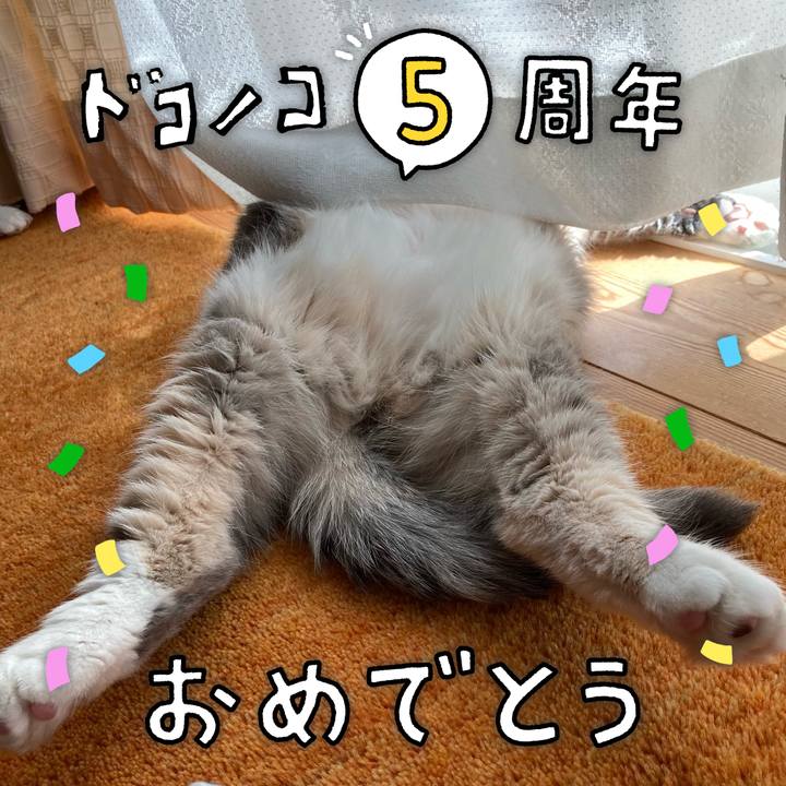 5e5e99d7 f8c5 48e2 b7fa 877ad0199f85 1622868560207