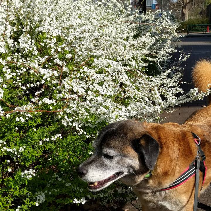 5e5eb265 61e1 4f4f bbe1 dbf4661a9614 1553213468094