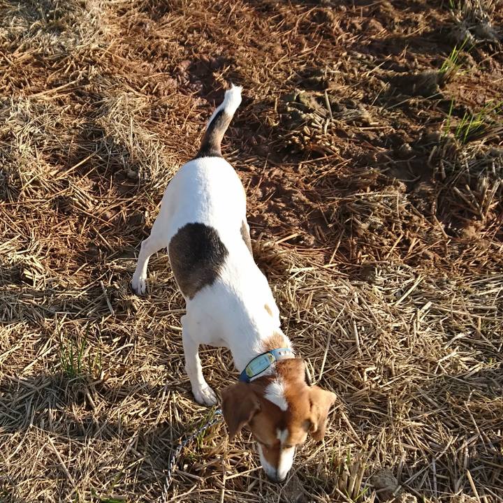 5e5eb8c3 83b1 46ed 868e f3a569fb5ce3 1575101755544