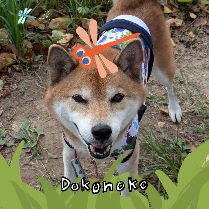 5e5ef433 f92d 4f3d a161 7347a67f909f 1727175284133