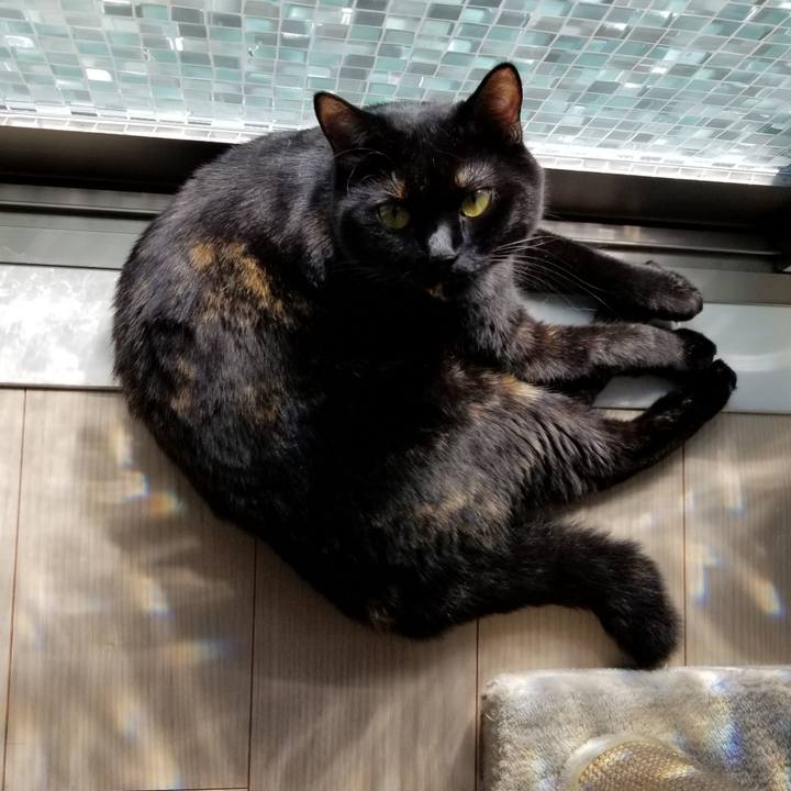 5e5ef43c e27a 4ab2 93e6 66a440188f51 1538971070807