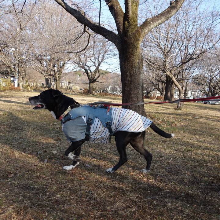 5e5efa0c 1cca 4a49 a271 690247686ff1 1739752460365