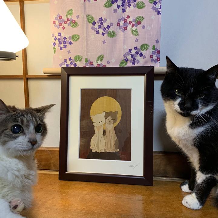 5e5f0fcb d949 43dd b22e 3e63cd531c96 1558268200356