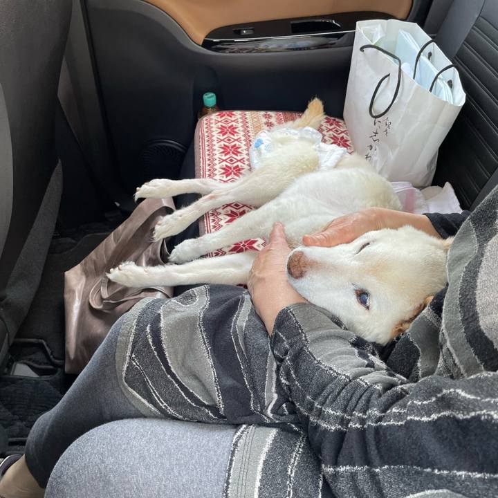 5e5f17e1 6d91 4ee3 8899 be297fce8fcf 1679884916459