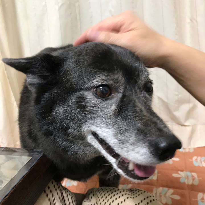 5e5f3b92 5ba4 41ec 8d76 fa1e2b29f5d1 1553859648899