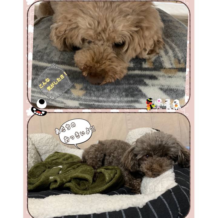 5e5f4415 fc78 4d44 8c16 4d62412cc135 1571869313765