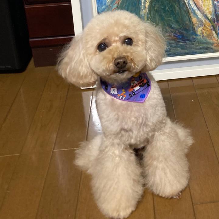 5e5f5b69 86fb 4c76 921d 56034ad4f0b6 1696161477217