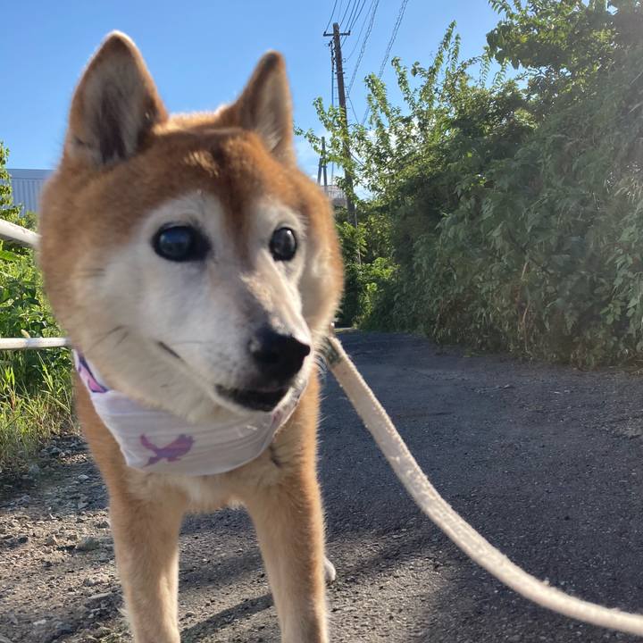 5e5f671d e8a1 4de0 ae5d daa312f852f5 1753085448712