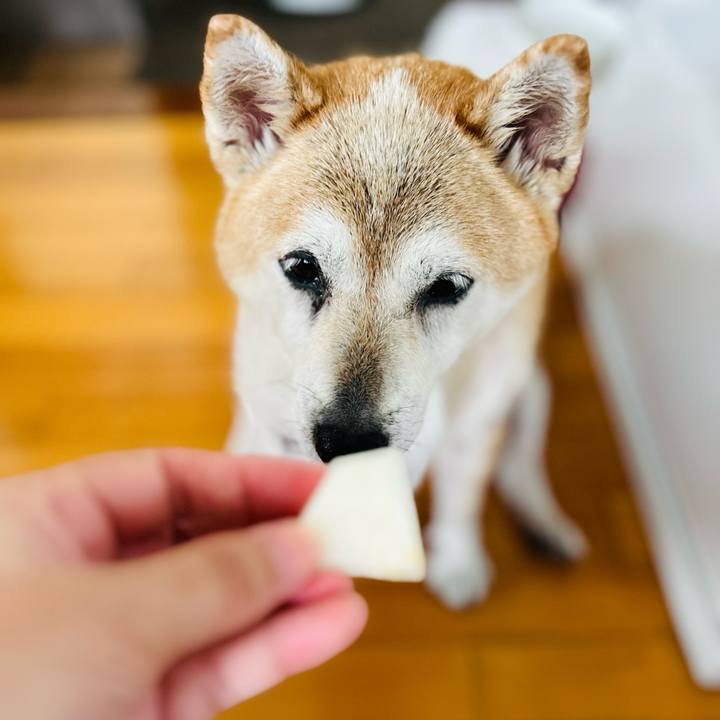 5e5f9151 0c85 4a82 bfce 94c88cd9d029 1756352303493