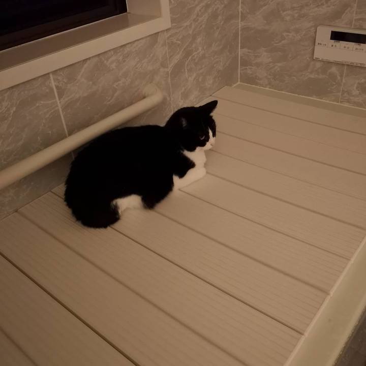 5e5f9d11 30f8 4e72 881f c4b53bfdb253 1639020752064