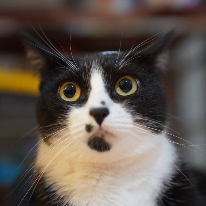 5e5fa5fa 59b8 4609 9b6f 23b6ce4f0e7d 1719496890729