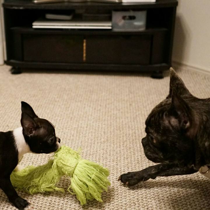 5e600bb1 5bea 4b57 94ec c2e6308be8f3 1538740132597