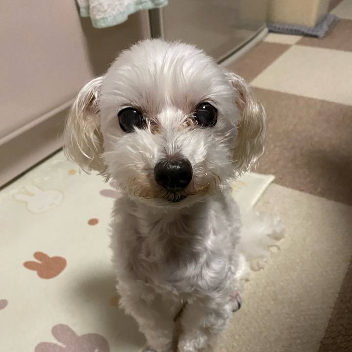 5e601355 c4a8 40b4 aa7a 631832c28e9e 1726140952302