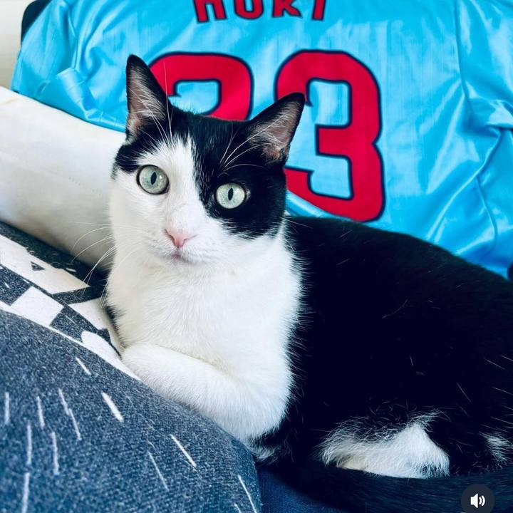 5e603969 8ec6 477d b189 29854fd92643 1730248938748