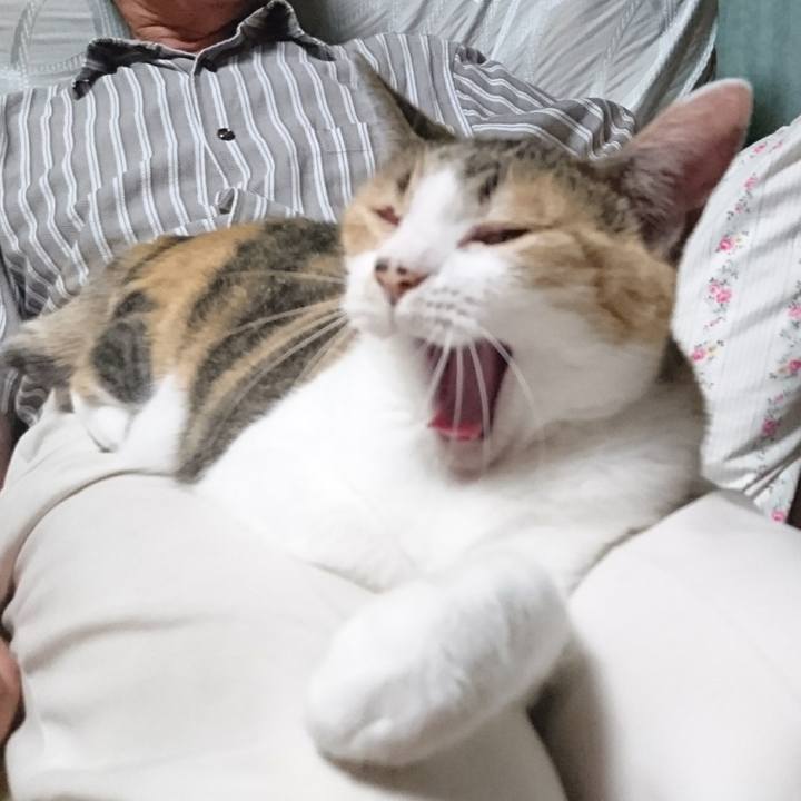 5e603c18 4414 4521 9318 dd31772a1888 1566298751894