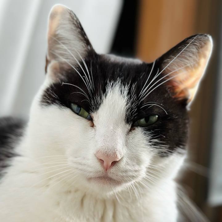 5e60c1c2 1e43 41ce abab cd3843d44968 1702347221607