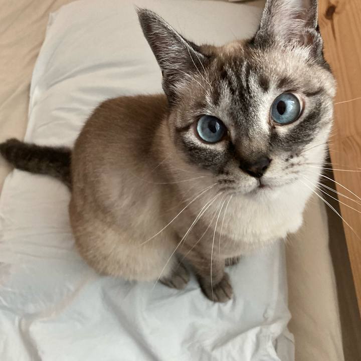 5e610fc5 4179 48dd bbc0 68d6b134678f 1684535643974