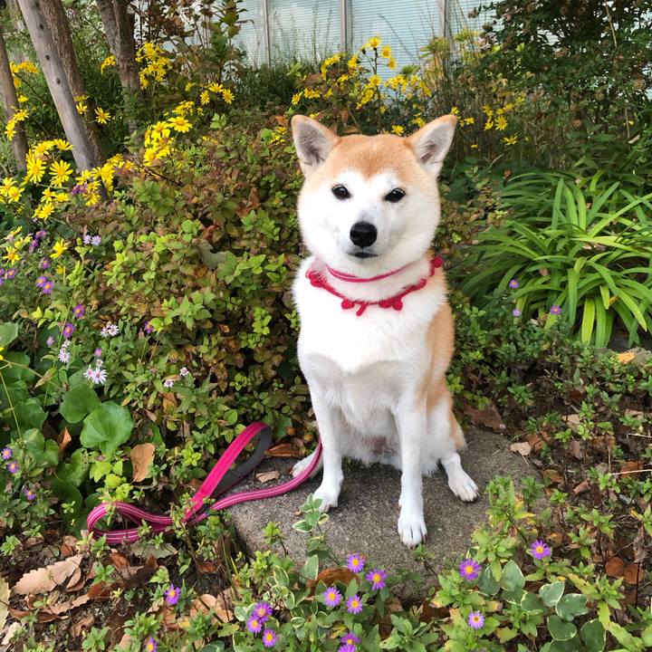 5e612e00 86ce 414a 8e8b a35a52e0bb6b 1670803214324