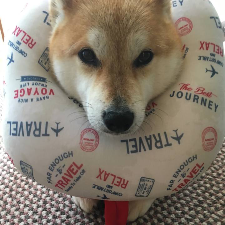 5e61313f d36d 47b3 99e0 16e99f8cb5fb 1613342633181