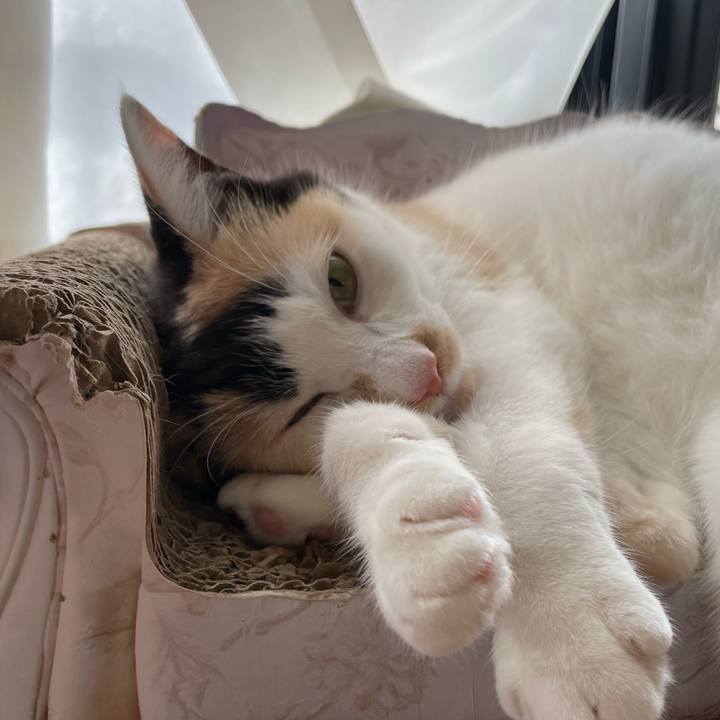 5e614a29 75b9 4c39 878f ec010e5268dd 1719183934316