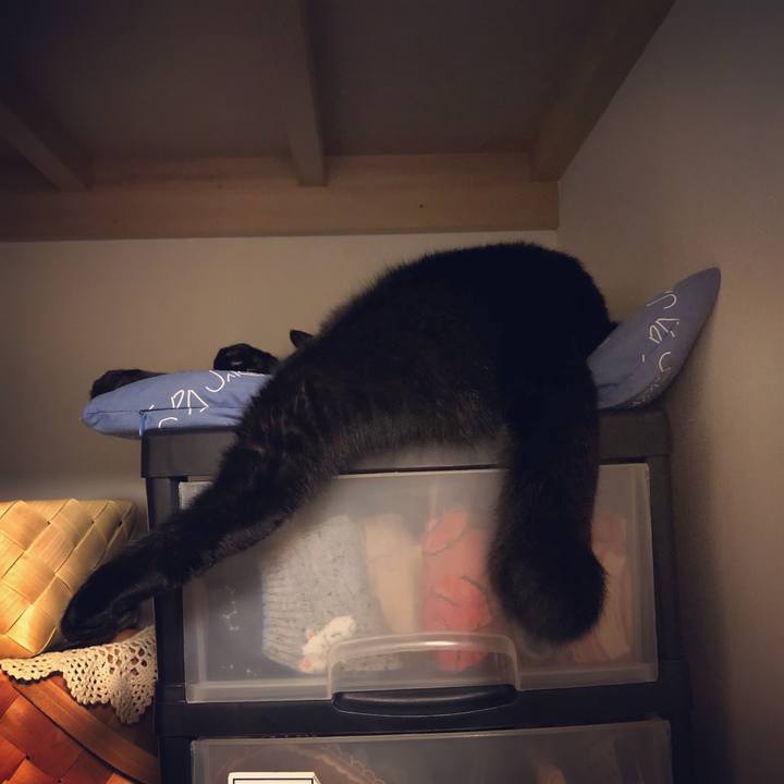 5e615b1a c306 403a b944 957ab3522d5b 1543930916584