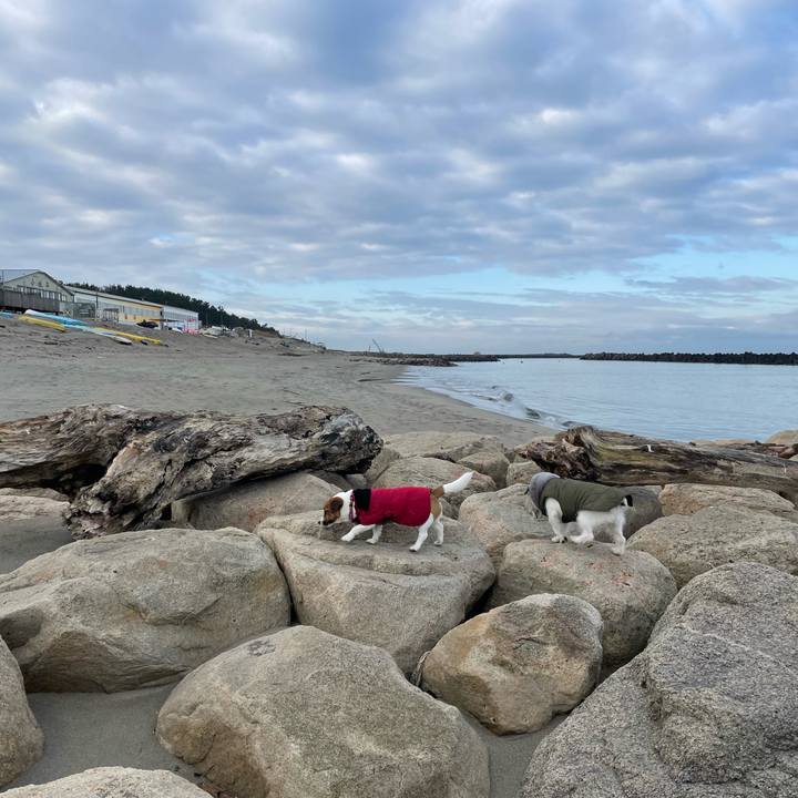 5e617ab4 85ba 4717 b541 6f6bff0f47dd 1643159651298