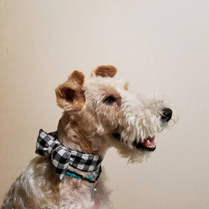 5e61bf45 3154 4402 81d9 2d21268eb838 1531107476121