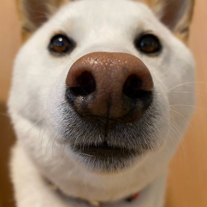 5e61cac9 0398 4b0c 9c73 612ae861dbb8 1617866929612