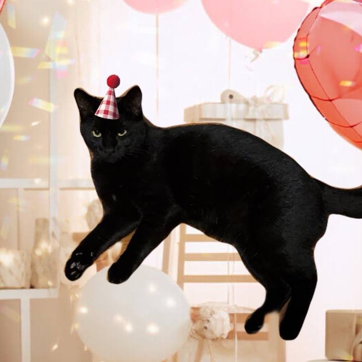 5e61eb4d 7154 487c 8e69 192602309b7e 1735101855477