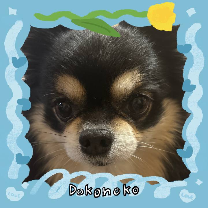 5e61ffd8 a2ba 4a72 a4a8 21f1ab798180 1772001014091