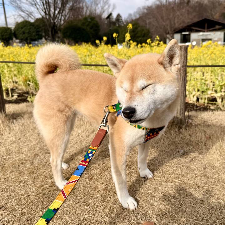 5e62192e d8a6 4354 9770 a717f9409597 1771462501967