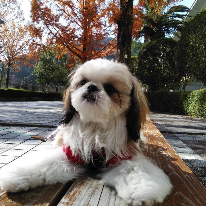 5e6251c0 76e4 4c17 8b2d 005bc236063d 1543703199679