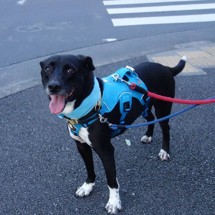 5e627f8f 1900 4281 b563 494372eb1be5 1628333755968