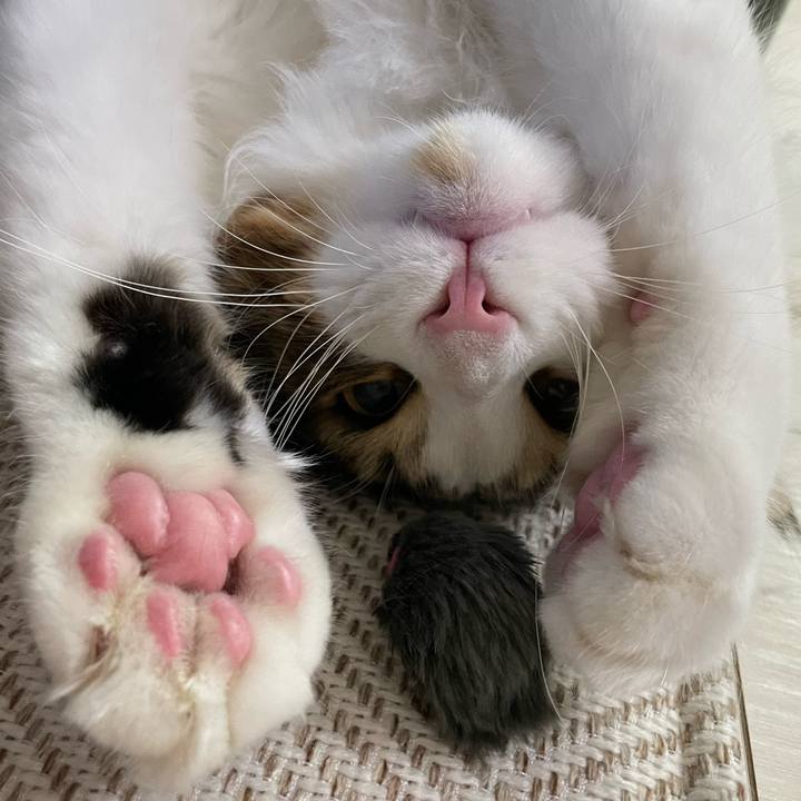 5e628f43 e5c8 47d6 8583 a45b957fdff7 1645479966065