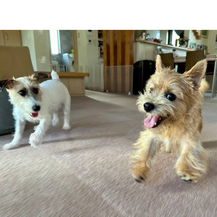 5e62a210 fc47 4bcd 8525 acd7211ab1b7 1721958967222